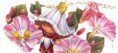 /album/victoria-plum/a18a-1-jpg/